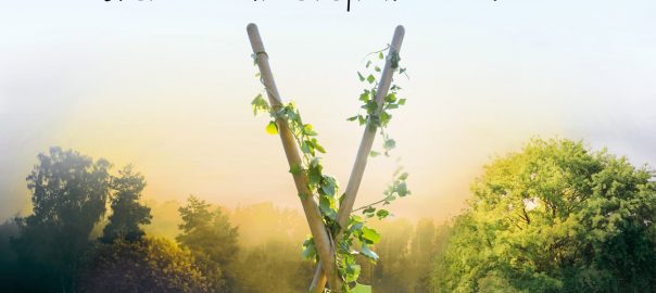Affiche du film L Eveil De La Permaculture