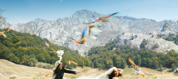 Affiche du film On The Milky Road