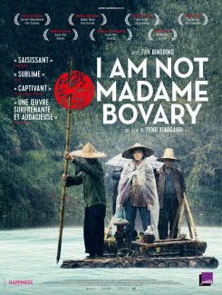 Affiche du film I Am Not Madame Bovary